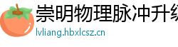 崇明物理脉冲升级水压脉冲